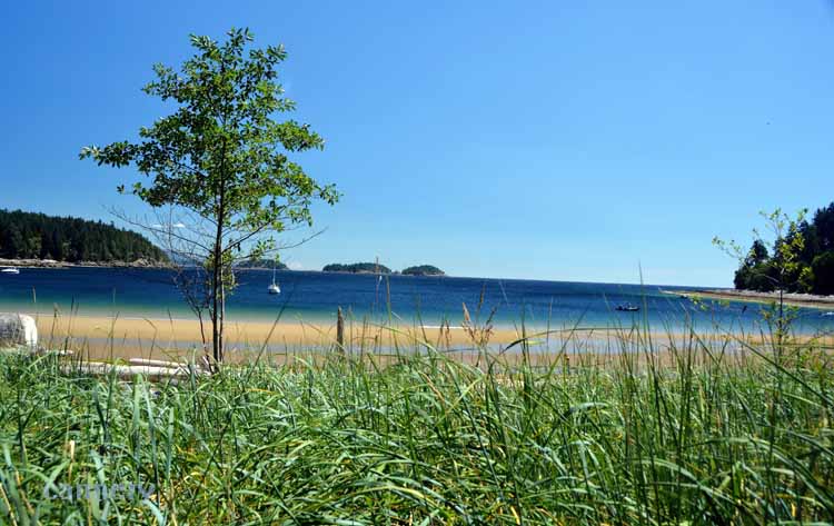 beach scene
